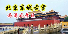 舔湿吸视频中国北京-东城古宫旅游风景区